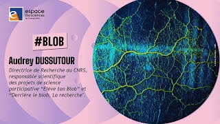 🧫🟡[Audrey Dussutour @Docteur_drey] Dernières nouvelles du blob