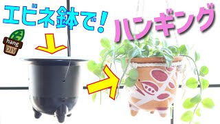 【簡単】DIYでリメイク鉢！足付き洋蘭鉢でハンギング鉢を作る！【観葉植物】