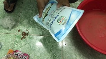 Bài mồi câu cá rô phi, chép, trôi, mè vinh... hiệu quả nhất..!