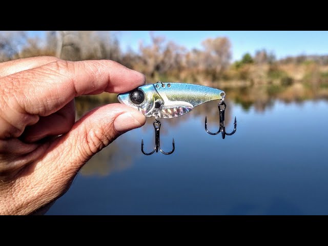 Catching Fish On Almost Every Cast!(Blade Bait Massacre) 