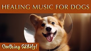 Healing Melodies for Dogs 🐾 Music to Improve Your Pet's Well-Being by Merlin's Realms - Music for Dogs and Humans 3,895 views 4 months ago 12 hours