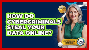 How Do Cybercriminals Steal Your Data Online? - Crypto Simplified for Seniors