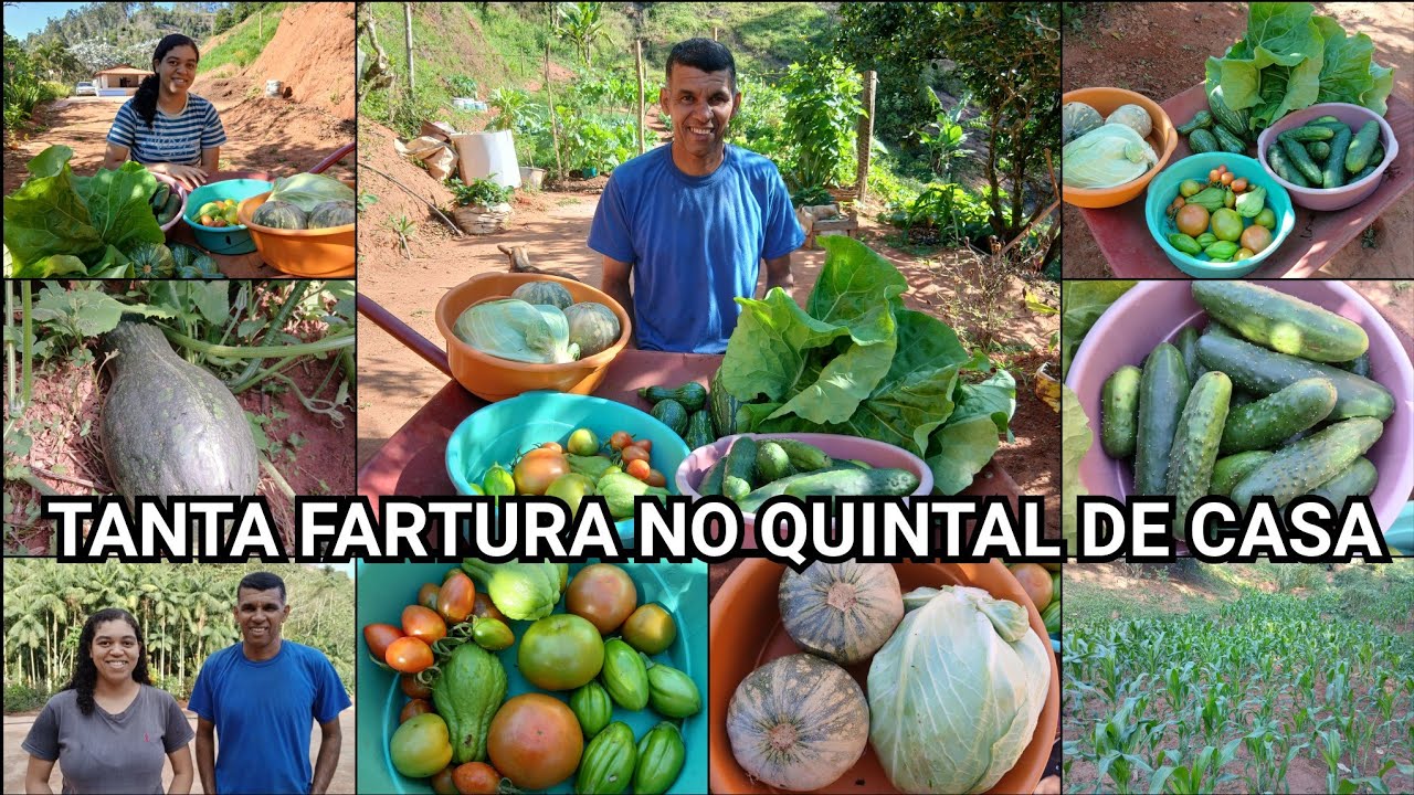 O QUE FAZEMOS COM TANTA FARTURA QUE TEMOS AQUI NO SÍTIO?/COLHEITA MARAVILHOSA NO QUINTAL DE CASA