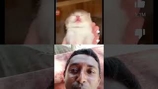 o mai god আমি এখন ভাইরাল গান #funny #cute #catlover #rap #comedy #hiphop #viral #video #dance #dance