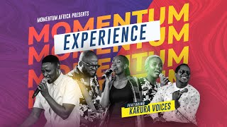 Momentum Africa Experience