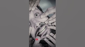 Most World Maps Are Wrong! #facts