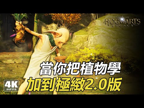 當你把植物學加到極緻2.0版 | 霍格华兹的传承 | When you take botany to the extreme 2.0 | Hogwarts Legacy