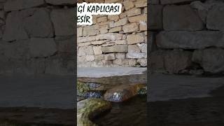 Pamuku Kaplicalari Dyabet Hastaliina Faydali  Tm Vdeo n Kaynak Blmn Tikla kaplica spa