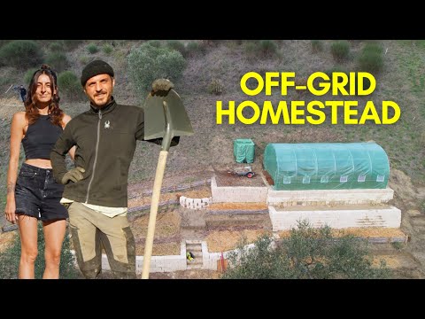 MASSIVE LAND DEVELOPMENTS: Abandoned Land Transformed Into Off-Grid Homestead
