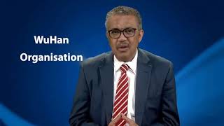 Chat with virtual Tedros?