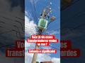 Você já viu esses transformadores verdes na rua? Descubra o porquê!  #eletrotecnica #eletricista