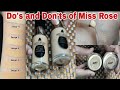 Do's And Don'ts Of Miss Rose Liquid Foundation