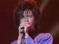 Dried Flower / UP-BEAT