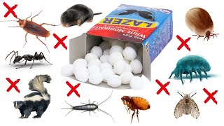 How to Use Mothballs to Get Rid & Repel Pests EASILY - MOTHS, BEDBUGS, COCKROACHES, ANTS, FLEAS.....