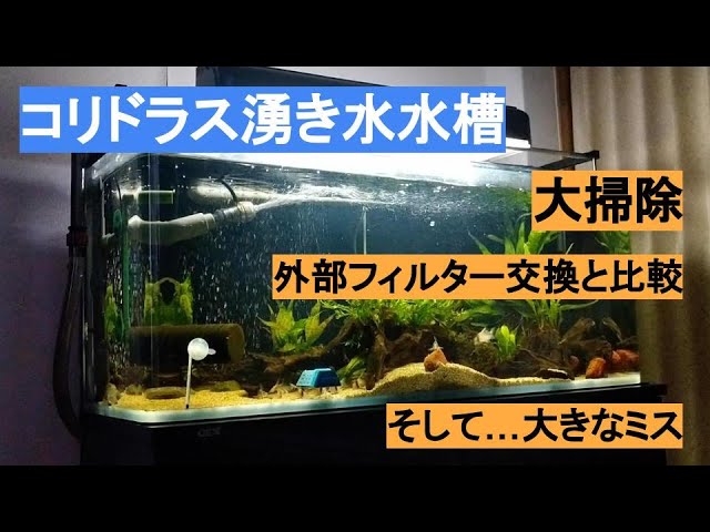 Ancient fish tank setup part 2: External filter installation