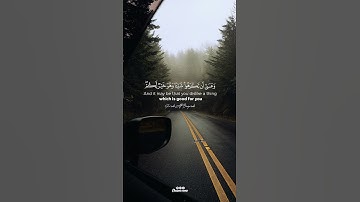 وعسى أن تكرهوا شيئاً وهو خير لكم | القارئ محمد هشام