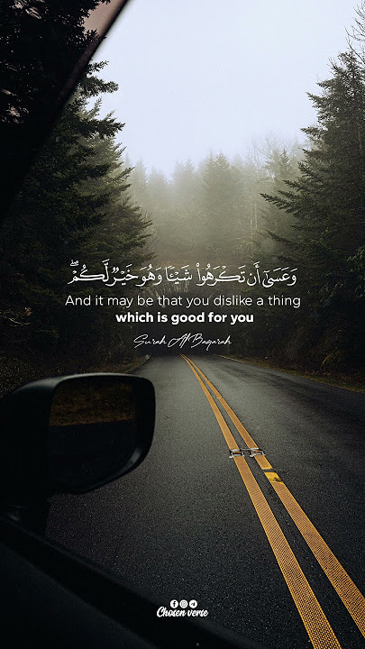 وعسى أن تكرهوا شيئاً وهو خير لكم | القارئ محمد هشام