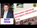 Трейдер Виктор - Методика торговли долларом. Итоги 2020 года.