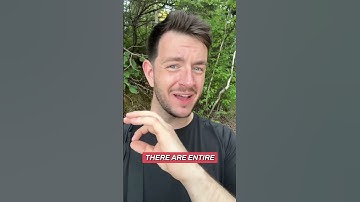 Let AI agents do the admin so you can focus on selling. #sellbetter #techsales #b2b #SalesTips