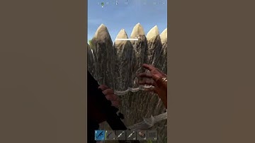 Rust Is Crazy Sometimes LOL #gaming #twitch #funny #fypシ #foryou #viral #rust #fps