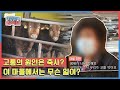 축사 때문에 고통 받고 있다는 주민들, 이 마을에서는 무슨 일이? KBS 210203 방송