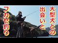 クロの快気祝いと釣り場での出会いと埠頭での釣り