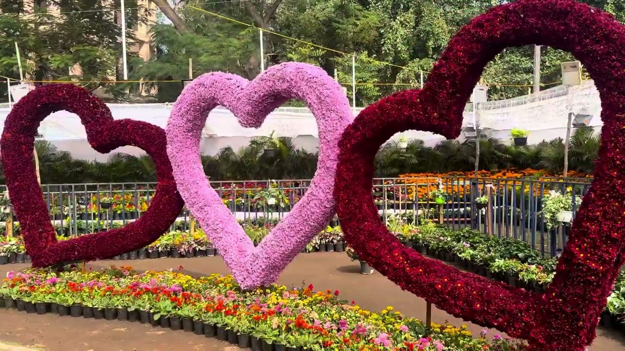 యానాం ఫల పుష్ప ప్రదర్శన, ప్రజా ఉత్సవాల ఏర్పాట్లను పరిశీలించిన మల్లాడి కృష్ణారావు గారు