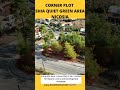 Corner plot in Shia