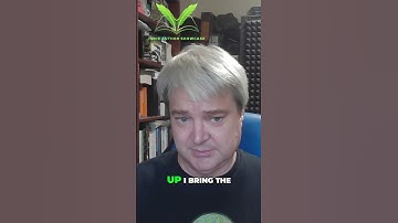 Auto Repair Assistant: Effortless Audio Editing!