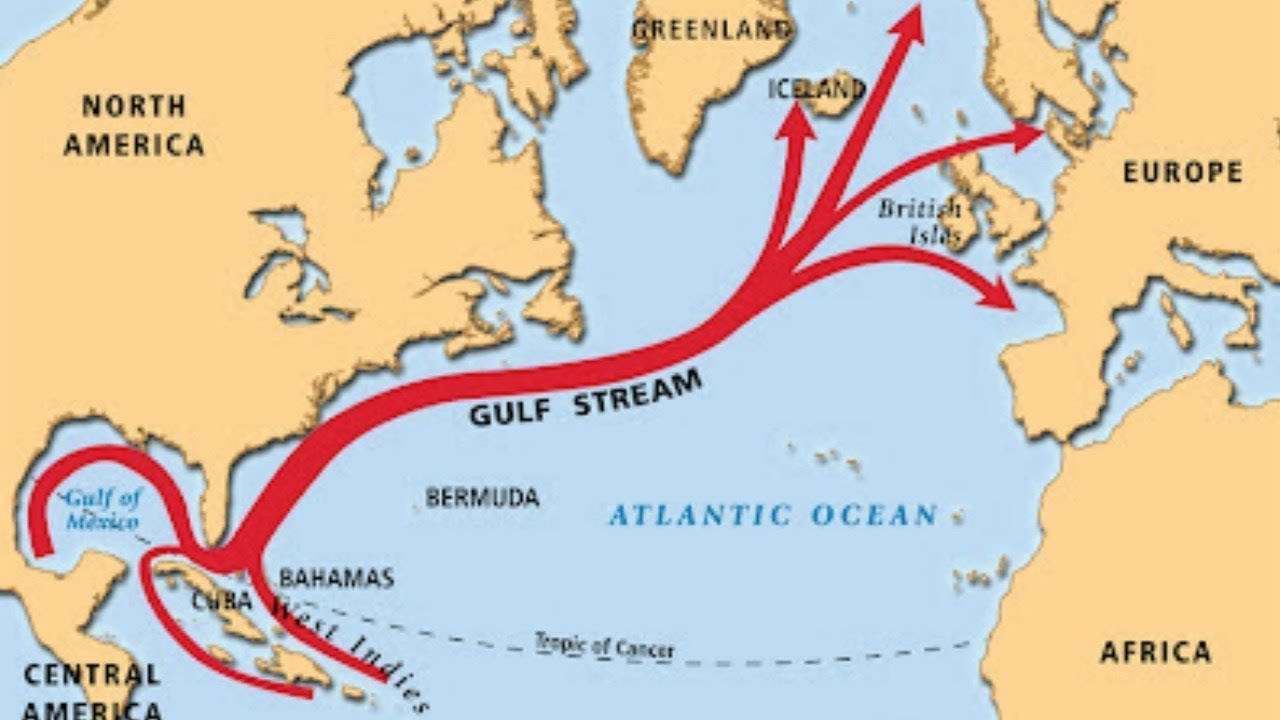Теплое течение у восточных берегов. Гольфстрим и Северо атлантическое течение на карте. Морское течение Гольфстрим на карте. Течение Гольфстрим на карте.