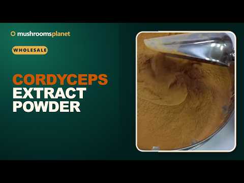 Cordyceps extract powder video review