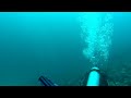 Sony HDR-AS30 + underwater housing MPK-AS3 (test 1/2)