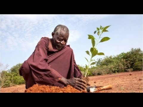 Как Африканец превратил пустыню в райский сад