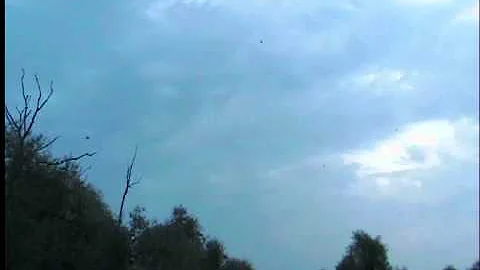 Ласточки перед дождем