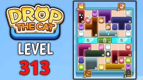 Drop The Cat Level 313