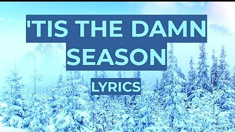 Taylor Swift - 'tis the damn season(Lyric Video)