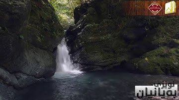 فجرية رائعة لما تيسر من سورة الفتح ,, بصوت القارئ رعـد بـن محمد الكـردي