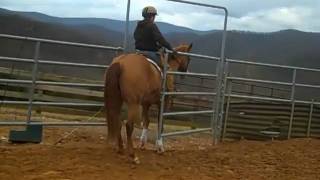 cj flat work 2011