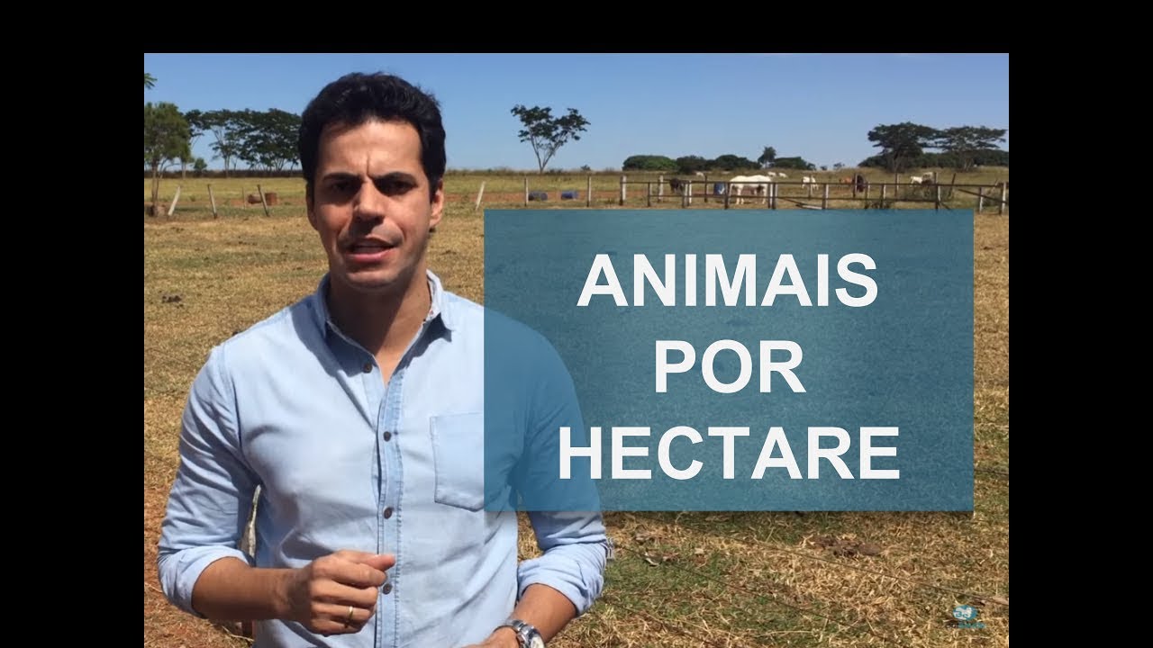 Download QUAL O NÚMERO IDEAL DE ANIMAIS POR HECTARE?