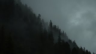 'don't go near the fog.' | pacific northwest gothic playlist