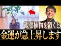 金運が上がる観葉植物の特徴！あなたの家にある植物の葉の形で金運が決まる！