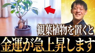 金運が上がる観葉植物の特徴！あなたの家にある植物の葉の形で金運が決まる！