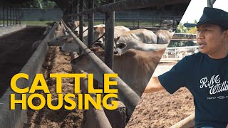 RECOMMENDED CATTLE HOUSING FOR TROPICAL COUNTRIES