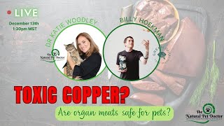 Toxic Copper  Are Organ Meats Safe For Your Pets?