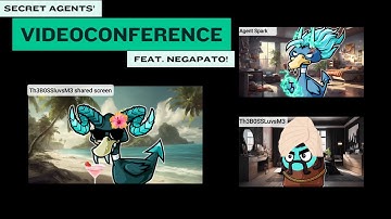 The video conference