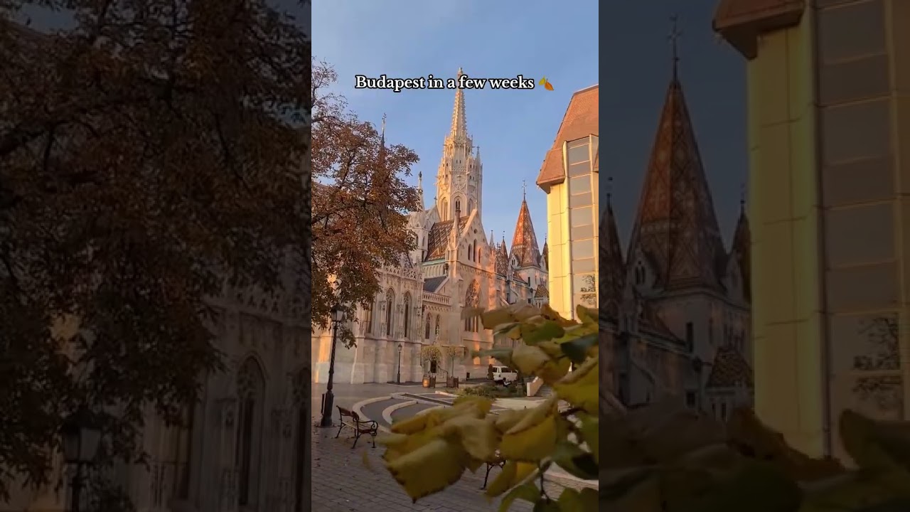 Autumn in Budapest ❤️🍂