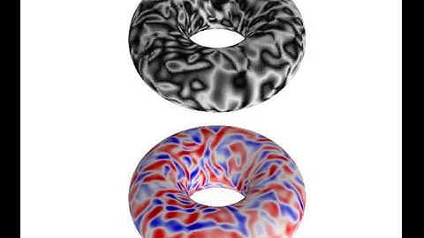 Active Nematic on the surface of a torus