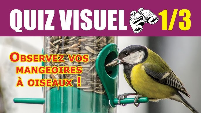 Parler Aux Oiseaux - Le Guide Des Appeaux