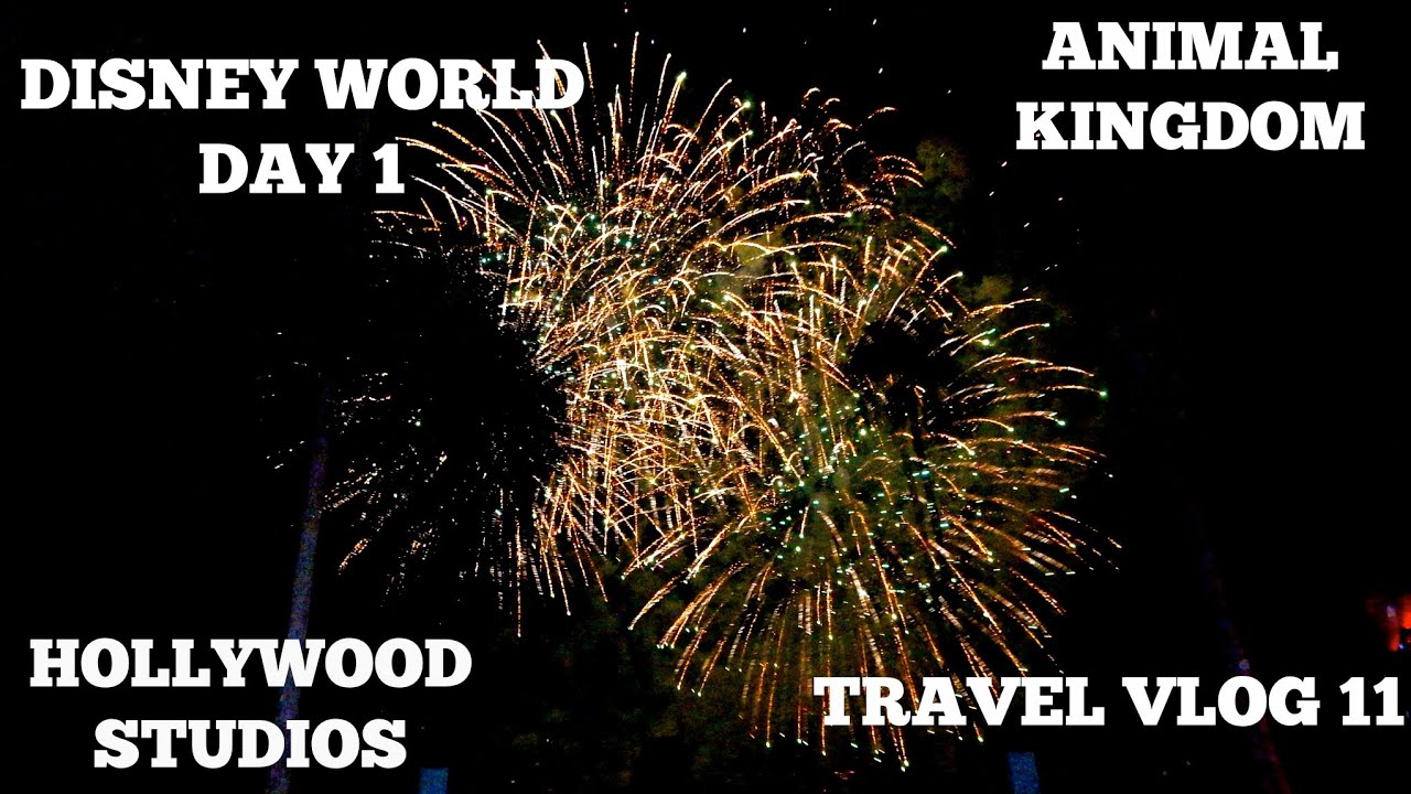 DISNEY WORLD DAY 1 | ANIMALS | STUDIOS | FIREWORKS!!! - YouTube