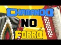 Chamando no forró do bom, nerão, xote, pra arrastar o pé, hits song RS BA SP RJ MG PI CE